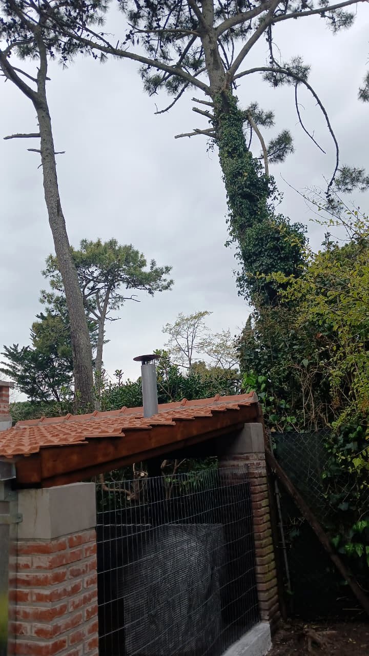 Trabajo real de Construcciones Juchani 2